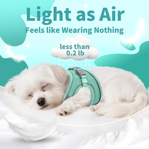 AIITLE Dog Harness and Leash Set, Step-in Puppy Pet Vest, Pure Turquoise S - Image 5