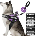 Service Dog Vest Harness and Leash Set, Animire in Training Dog Harness by Animire