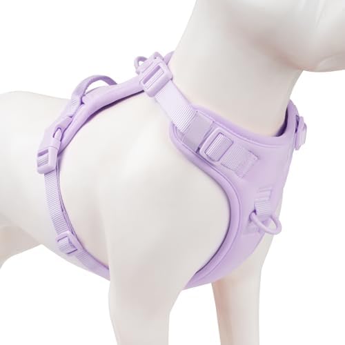 Sunraymascota No Pull Dog Harness by Sunraymascota