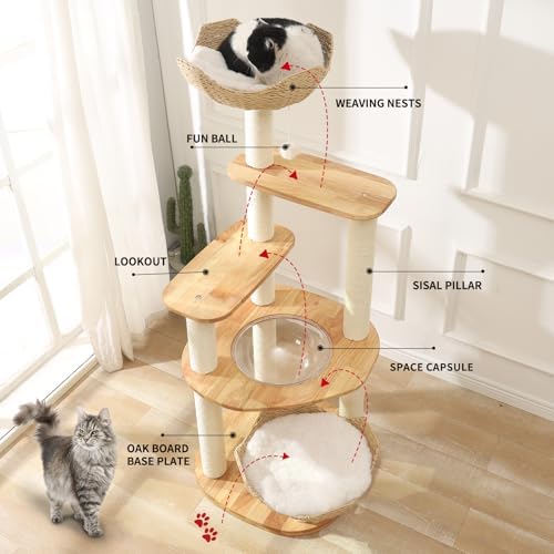 SHODMI Modern Cat Tree for Large Indoor Cats 61 in Rubber Wood Cat Tower - Image 5
