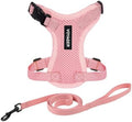 Voyager Step-in Lock Cat Harness & Leash Set by BestPetSuppliesLLC