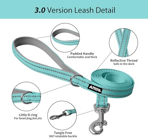 AIITLE Dog Harness and Leash Set, Step-in Puppy Pet Vest, Pure Turquoise S - Image 4