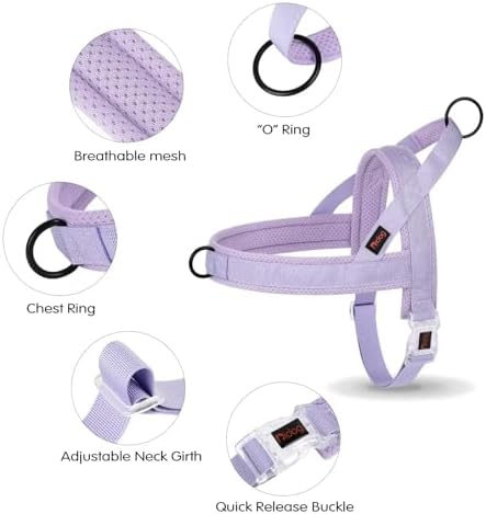 Didog No Pull Dog Harness with Breathable Mesh Padded, Quick Fit and Easy on - Image 5