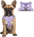 BARKBAY Dog Harness Medium Sized Dog, No Pull Puppy Harness, Step-in Dog Vest by BARKBAY
