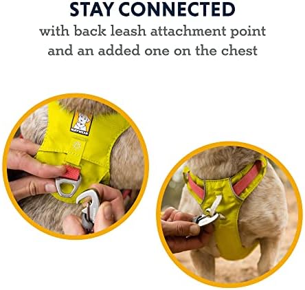 Ruffwear, Hi & Light Dog Chest Harness, Basalt Gray - Image 5