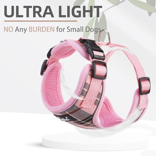 PUPTECK Small Dog Harness and Leash Set No Pull - Image 5