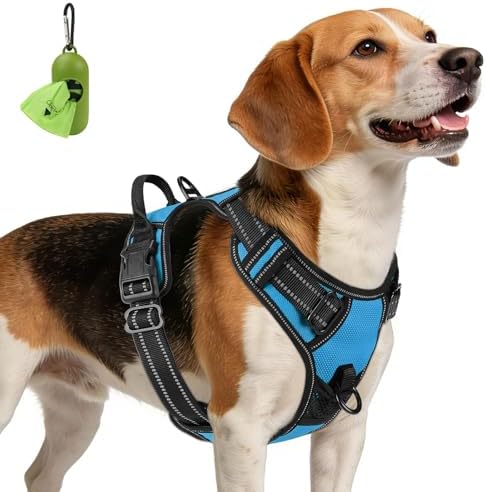 Joytale No Pull Dog Harness Medium Sized Dog, Front Clip, Sky Blue by Joytale