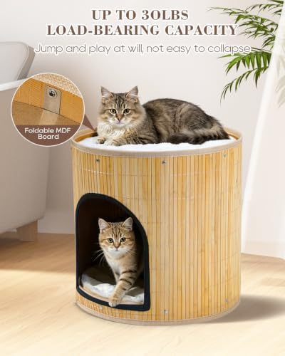 SYANDLVY Large Cat House, Kitten Condo - Image 4