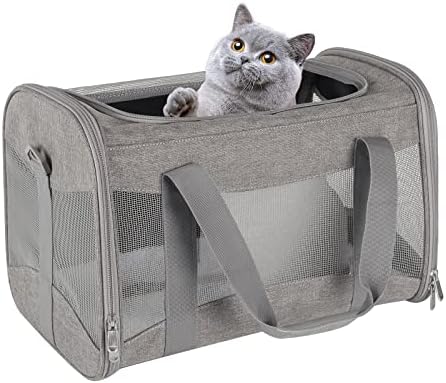 Cat Carrying Case by home