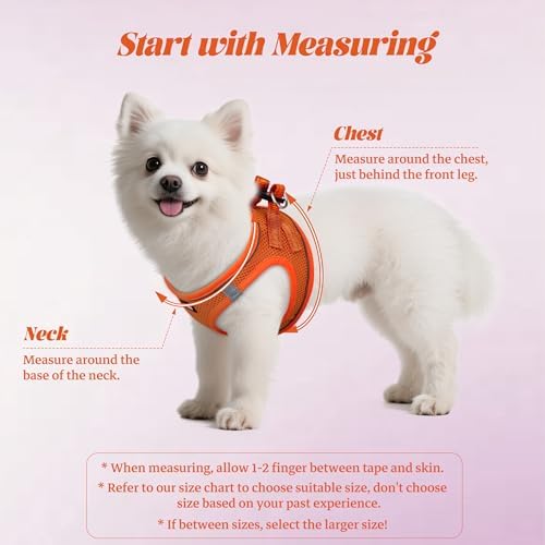 No Pull Dog Puppy Harness and Leash Set Reflective Mesh Vest Medium - Image 2