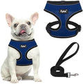 PUPTECK Small Dog Harness and Leash Set No Pull by PUPTECK