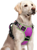 rabbitgoo Dog Harness for Large, No Pull 3 Buckles Easy On & Off by rabbitgoo