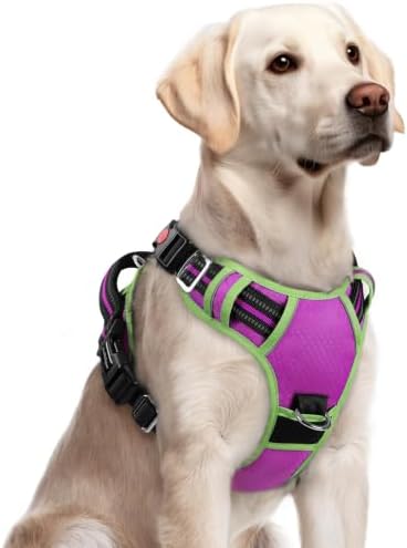 rabbitgoo Dog Harness for Large, No Pull 3 Buckles Easy On & Off by rabbitgoo