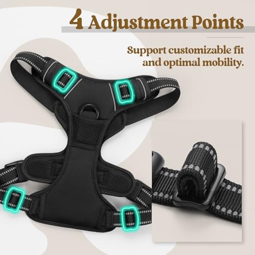 rabbitgoo Dog Harness, No Pull for Large Dogs - Image 4