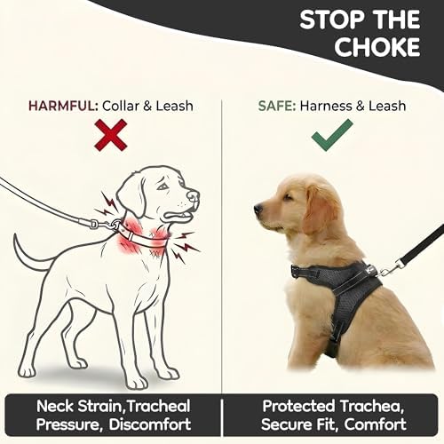 No Pull Reflective Adjustable Dog Harness - Image 5
