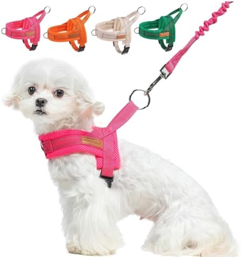 BEAUTYZOO Small Dog Harness and Leash Set, No Pull Step in Puppy Vest by BEAUTYZOO