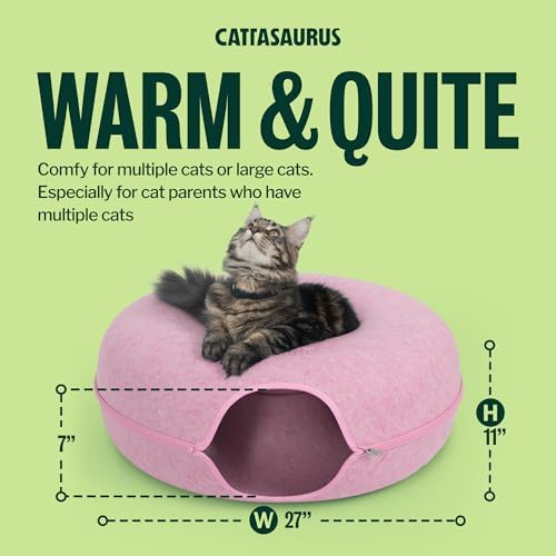 Cattasaurus Peekaboo Cat Cave Donut - Image 3
