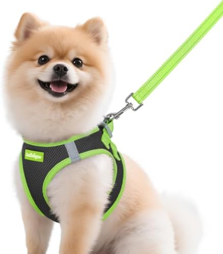rabbitgoo Dog Harness Small Sized and Leash Set, Step in Soft Vest by rabbitgoo