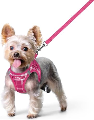 rabbitgoo Dog Harness Small Sized and Leash Set, Step-in Puppy Pet Vest by rabbitgoo