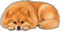 3D Realistic Dog Shaped Bath Mat & Floor Rug by MOFABIA