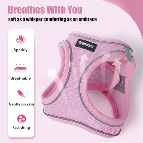 Solmoony Sparkly XXS Dog Harness and Leash Set, Step in Soft Light Puppy Vest - Image 6