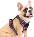 Eagloo Dog Harness No Pull for Medium Dogs, Easy On & Off by GoExplorewithEagloo