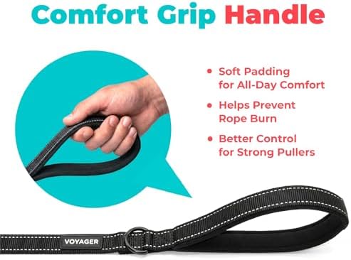 Best Pet Supplies Voyager Nylon Dog Leash - Image 5