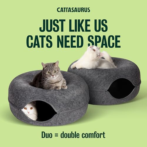 Cattasaurus Peekaboo Cat Cave Donut - Image 5