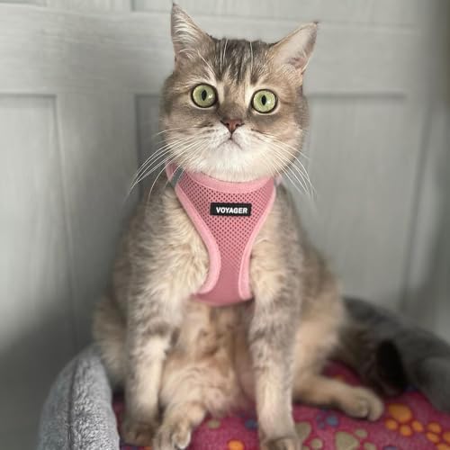 Voyager Step-in Air Cat Harness & Leash Set - Image 6
