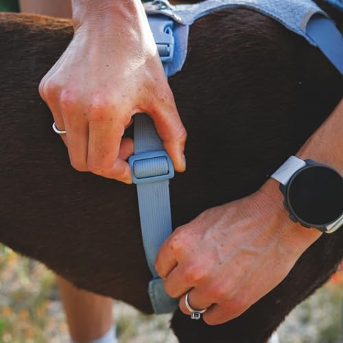 Ruffwear, Front Range Flex Dog Chest Harness, Deep Teal - Image 4