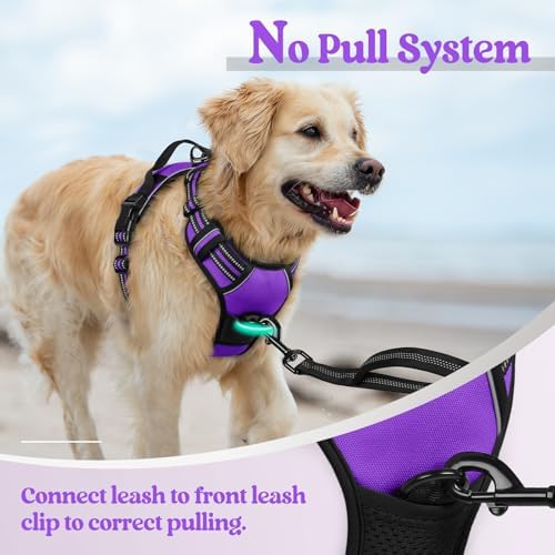 rabbitgoo Dog Harness, No Pull for Small Dogs - Image 5