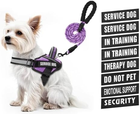 Service Dog Vest Harness and Leash Set, Animire in Training Dog Harness by Animire