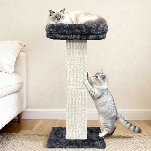 Cat Scratching Post with Plush Perch - Image 6
