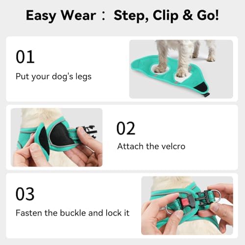 Joytale Step-in Dog Harness, Soft Breathable Mesh, Teal XXXS - Image 3