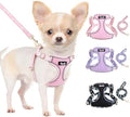 Lukovee Small Dog Harness and Leash Set, No Pull Lightweight Soft Mesh Vest by Lukovee