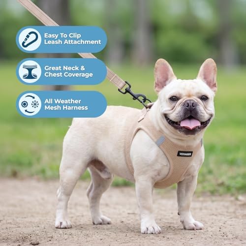 Best Pet Supplies Voyager Step-in Air All Weather Mesh Harness and Reflective - Image 5