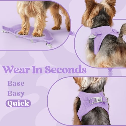 rabbitgoo Step-in Small Dog Harness, Puppy Vest - Image 6