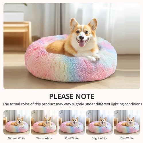 JOLLYVOGUE Calming Dog Bed Medium Size Dog, Anti-Anxiety Donut Medium Pet Bed - Image 6