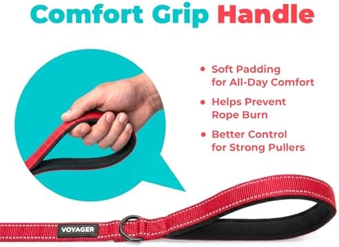 Best Pet Supplies Voyager Nylon Dog Leash - 6ft Red - Image 5