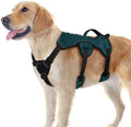 rabbitgoo Escape Proof Dog Harness by rabbitgoo