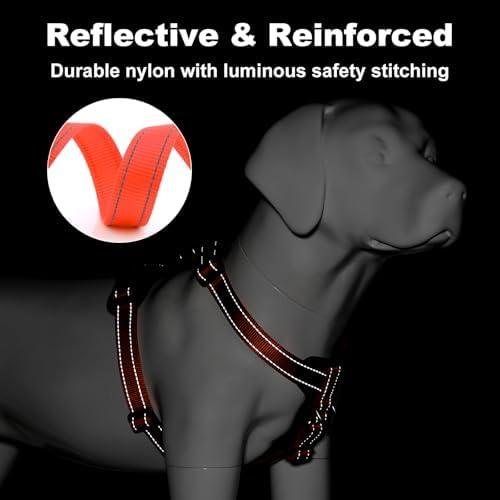 Plutus Pet No Pull Dog Harness - Image 4