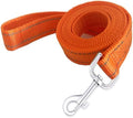 Reflective Dog Leash 6FT Long, 5/8 Inch Wide, by TAIDA