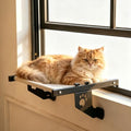 NFMOD 2-in-1 Suction & Hook Cat Window Perch Metal Hammock by NestfulFinds