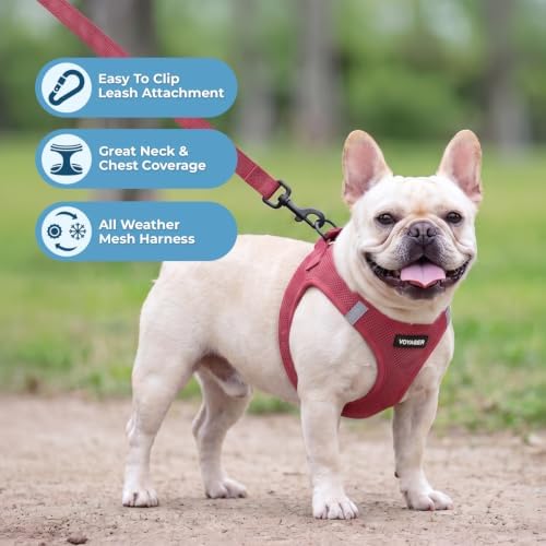 Best Pet Supplies Voyager Step-in Air All Weather Mesh Harness and Reflective - Image 5
