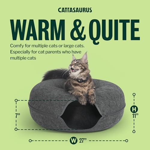 Cattasaurus Peekaboo Cat Cave Donut - Image 3