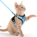 rabbitgoo Cat Harness and Leash Set, Escape Proof Vest, Light Blue by rabbitgoo