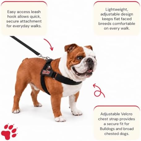 BULLHUG Adjustable Dog Harness – No Pull, No Choke – - Image 2
