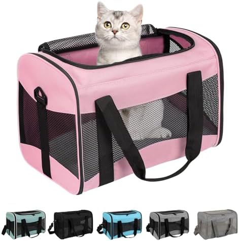 Cat Carrying Case by home