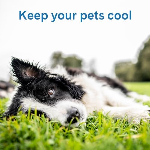 The Green Pet Shop Cool Pet Pad - Image 5