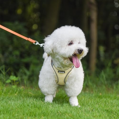 AIITLE Small Dog Harness and Leash Set, Step-in Puppy Pet Vest - Image 2